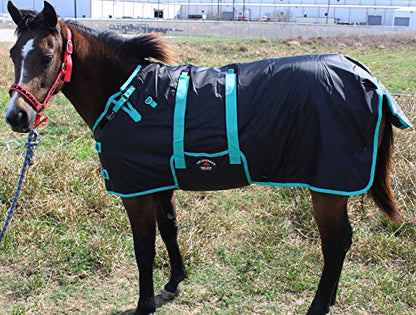 Challenger 1200D Miniature Weanling Donkey Pony Horse Foal Winter Blanket Teal 51945 - color: Black Turquoise Trim, size: 36"