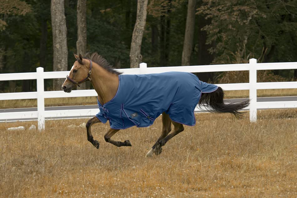 TuffRider 600 D Comfy Winter Turnout Blanket Medium Weight 200 GSM Standard Neck - color: Palace Blue, size: 84