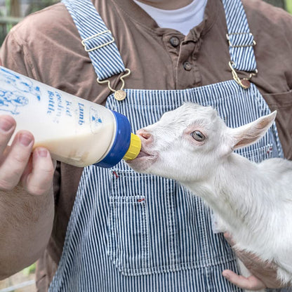 Premier 1 Lamb 'N' Goat Kid Wide-Mouth Feeding Bottle with Pritchard Teat - style: Bottle & Pritchard Teat