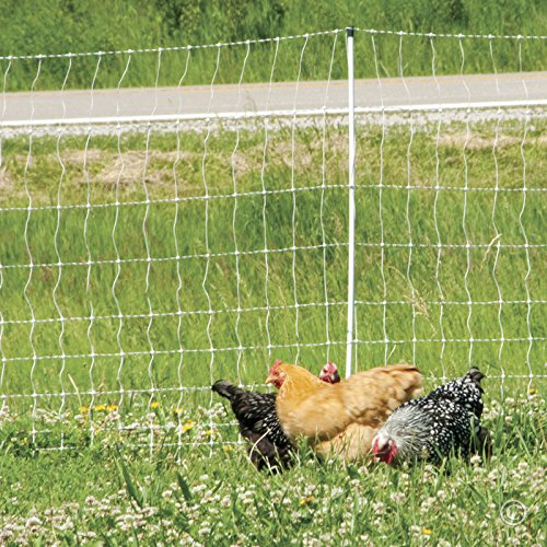Premier 1 PoultryNet® Electric Fence for Chickens – 48"H x 164'L