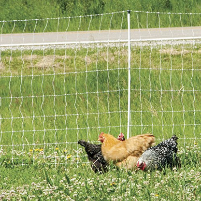 Premier 1 PoultryNet® Electric Fence for Chickens – 48"H x 164'L