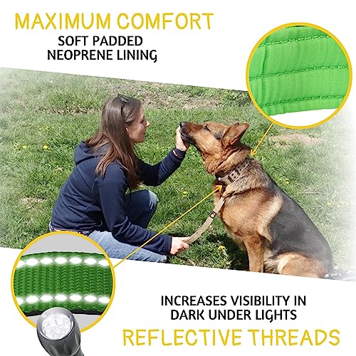 ADITYNA Heavy Duty Dog Collar for Medium Dogs with Traffic Handle - color: Green, size: Medium: Fit 15-19" Neck