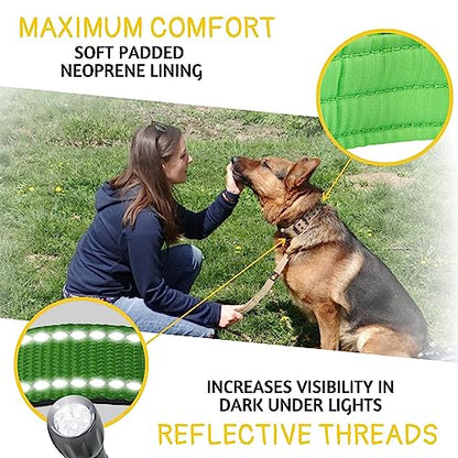 ADITYNA Heavy Duty Dog Collar for Medium Dogs with Traffic Handle - color: Green, size: Medium: Fit 15-19" Neck