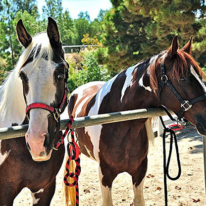 Injuries Preventing Tether Tie - Portable, Versatile & Reusable Breakaway Horse Tie, Quick Release Under Heavy Pressure w/ 5 Loop Settings, Multi-Purpose Clip (2 pcs Black) - color: Black