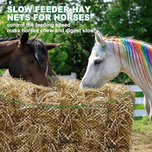 6x6 ft Bale Hay Net for Horses Round/Square, 1.7 inch Hole Knotless Livestock Slow Feeder Hay Storage Net for Horses, Cattle, Sheep in Farms (Round) - style: Round