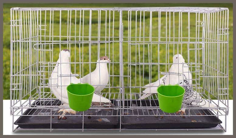 40 Pack Cage Cups Birds Feeders Seed Bowl Chicken Feeding Watering Dish Rabbit Water Food Hanging Wire Cages Box 8oz Coop Cups for Pet Parrot Parakeet Gamefowl Poultry Pigeon (Green) - size: 40PCS Green