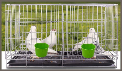 40 Pack Cage Cups Birds Feeders Seed Bowl Chicken Feeding Watering Dish Rabbit Water Food Hanging Wire Cages Box 8oz Coop Cups for Pet Parrot Parakeet Gamefowl Poultry Pigeon (Green) - size: 40PCS Green