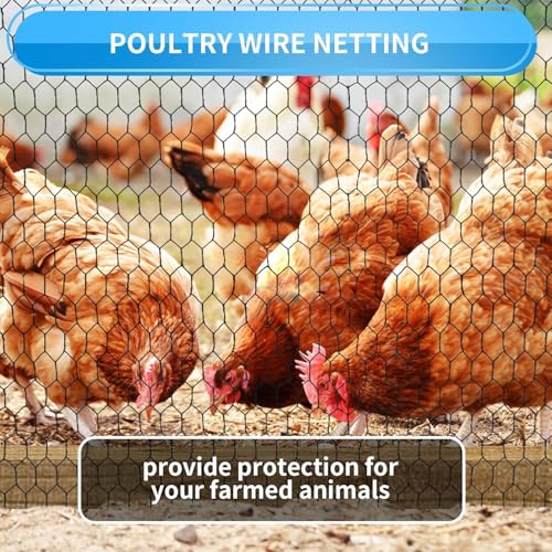 1/2 Inch Black Wire Mesh Roll - 12'' x 100' Chicken Wire Fence, 20 Gauge Hardware Cloth Poultry Netting for Garden/Animal Barrier/Rabbit/Floral/Chicken Coop/DIY Projects - size: 20 Gauge-1/2 Inch-12'' x 100'