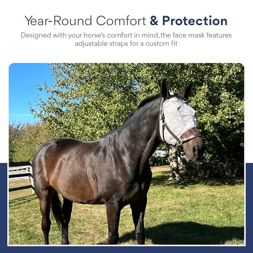 Warmblood Fly Mask Without Ears, UV Protection, Oversize
