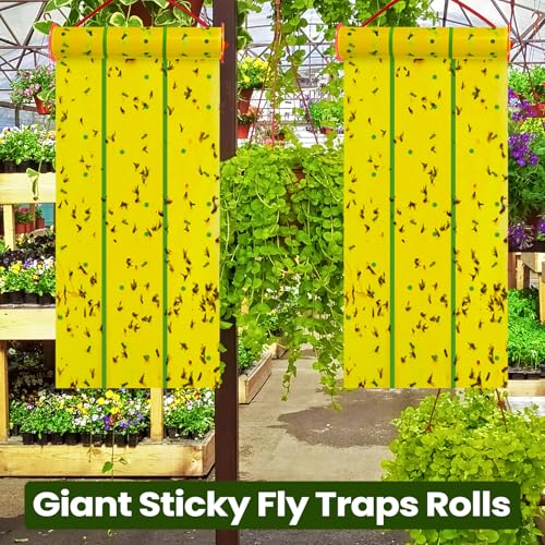 Qualirey 5 Pcs Giant Flypaper Fly Traps, 295ft Sticky Yellow - color: Yellow and Green