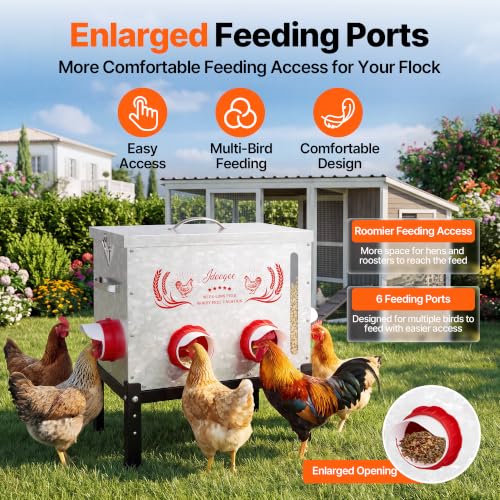40 LB Large Automatic Chicken Feeder with Visible Feed Window