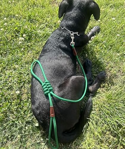Small Dog Leash 1/4" by 6/8/10FT Lightweight Strong Rope Leash - color: dark green, size: 1/4" x 6'
