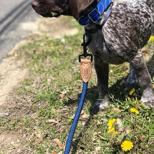 Mile High Life Dog Leash with Genuine Leather-Wrapped Ends, 4/5/6FT - color: Blue, size: 72 Inch-1/2"