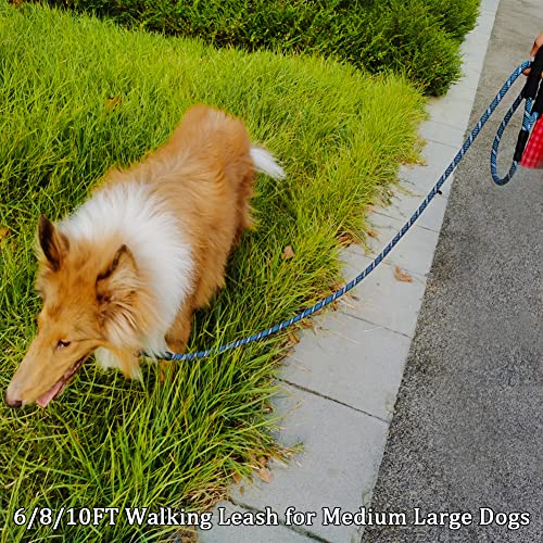 MayPaw Heavy Duty Rope Dog Leash, 3/6/8/10/12/15/20/30 FT Nylon Pet Leash, Soft Padded Handle Thick Lead Leashes for Large Medium Dogs (Blue Black, 1/2" * 8') - color: blue black, size: 1/2" * 8'