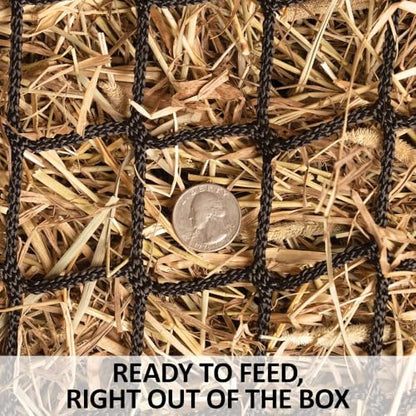 Schneiders Easy-Up Pro Fold-Up Hay Feeder Frame with 1.5" Knotless Net | Durable 4-Flake Horse Hay Feeder | Slow Feeding | Efficient Barn Chores | Color Gray Armor