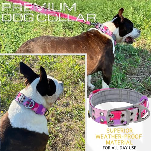ADITYNA Heavy Duty Dog Collar for Medium Dogs with Traffic Handle - color: Camo Pink Purple, size: Medium: Fit 15-19" Neck