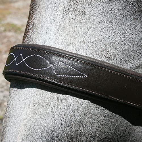 Schneiders Premier Dorchester Padded Leather Halter for Horses | Fancy Stitch Detailing | Soft Buffalo Leather | Padded for Comfort - size: Thoroughbred
