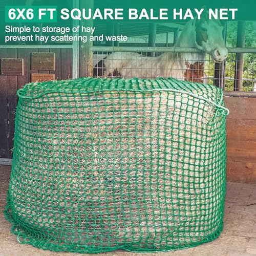 6x6 ft Square Bale Hay Net - Large Slow Feeder for Horses & Livestock, Knotless Design Slow Feeder Hay Nets, Fits 4x4ft 5x5ft 6x6ft Round & 3x3x8ft 4x4x8ft 5x5x8ft Square Bales (Green-Square) - color: Green-Square
