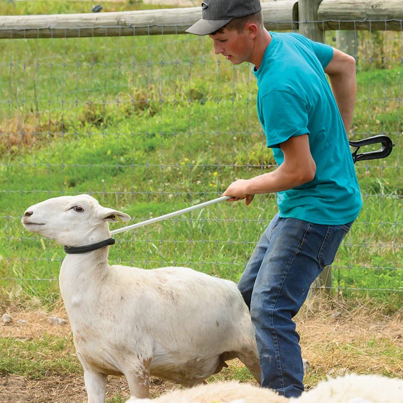 Premier 1 KiwiCrook™ - 53" Leg and Neck Sheep Crook with Fiberglass Shaft