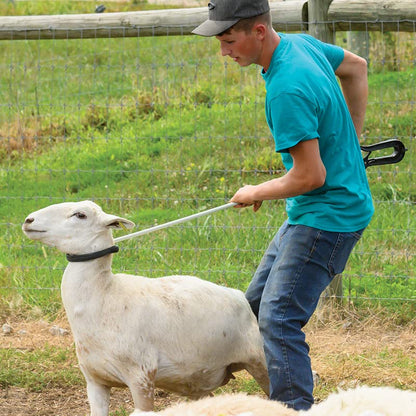 Premier 1 KiwiCrook™ - 53" Leg and Neck Sheep Crook with Fiberglass Shaft
