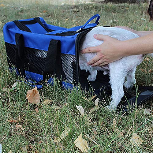 Emergency Zone - Small Dog Emergency Survival Kit - Bug Out, Emergency, Travel Kits, First Aid - Deluxe