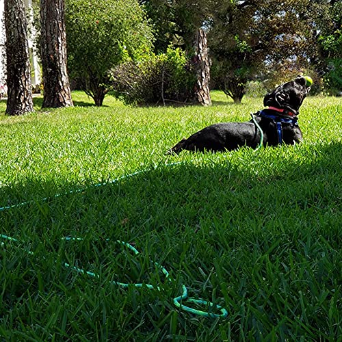 8FT Dog Tie-Out Rope + Bungee Dog Leash Extension