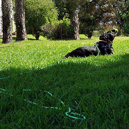 BTINESFUL 8/12/20/30/50/75ft Dog Tie-Out Long Tether Rope Dog Lead for Yard - color: Green, size: 12 Foot