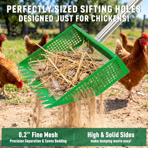 TOOGE Large Chicken Poop Scooper: 2-in-1 Metal Pooper Scooper & Rake Adjustable 62" Long Handle Stainless Steel Sand Sifting Litter Shovel Chicken Coop Scoop Cleaning Tool for Goat Yard Bright Green