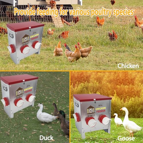 25lbs Metal Chicken Feeder, 4 Ports Galvanized Feeder, Goat Proof Auto Chicken Feeder, Weatherproof Chicken Food Dispenser System for Outdoor Coop,4.1 Gallon - size: 4 ports without legs