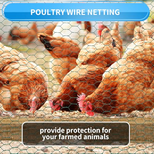 60'' x 150' Green Chicken Wire Fencing, 1 inch Chicken Wire and 19 Gauge Poultry Netting, Garden Mesh Fence Roll for Floral Arrangements/Crafts/Farm/Livestock/Pet Protection - size: Green /19 Gauge 60" x150'