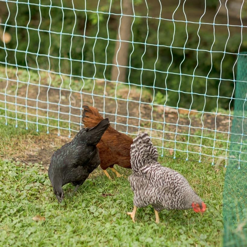 48" x 164' Electric Poultry Netting with Double Spiked Fiberglass Posts | Electric Fence for Chickens in Backyards, Homesteads, Farms and Ranches