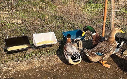 Chicken Feeder Waterer, Goat Feeder - 3 Pack, 5.5 Quart, for Goats Chickens Duck Sheeple Dogs Piglets Deers Gooses, Turkeys, Goat Supplies