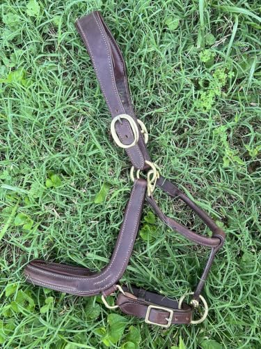 Leaders Padded Curved Leather Halter with Customized Engraved Name Plate Ergonomic Leather Halter for Horses - size: Cob Size Dark Brown/Brown Stitch