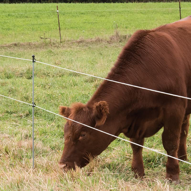 Premier 1 Step-in FiberRod Electric Fence Posts - 5 Pack (48" Tall) - style: 48" Tall