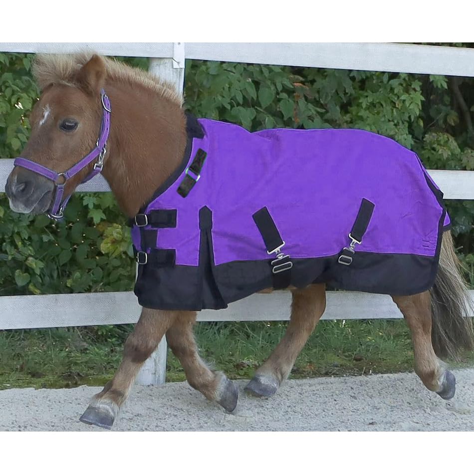 Mini/Pony 1200 Denier Adjustable Neck Waterproof Turnout Sheet - color: Purple, size: 42 - 46