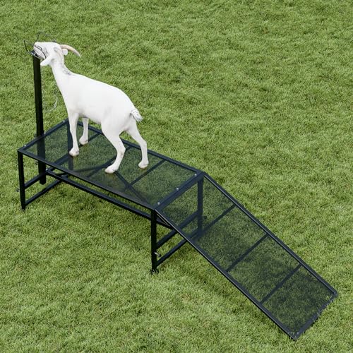 Metal Trimming Stand for Sheep Goat Milking Stand with a Ramp Livestock Stand with Adjustable Headpiece Goat Milking Stand for Clipping Hooves Black - color: Black + Ramp