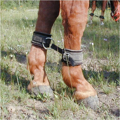 TrailMax Neoprene 2-Leg Horse Hobbles – Padded Grazing & Training Hobbles with Heavy-Duty Webbing, Quick-Release Buckle, and Steel Ring – Anti-Chafe Hobble for Horses & Mules