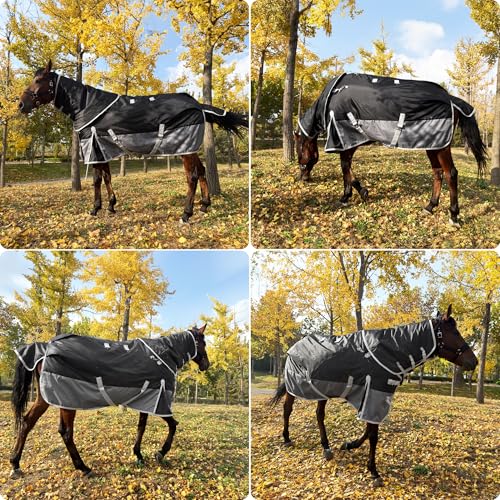 1200D Turnout Horse Blanket with Hood, Medium Weight, Black/Gray, 72 in - color: Black/Gray With Band, size: 72 IN