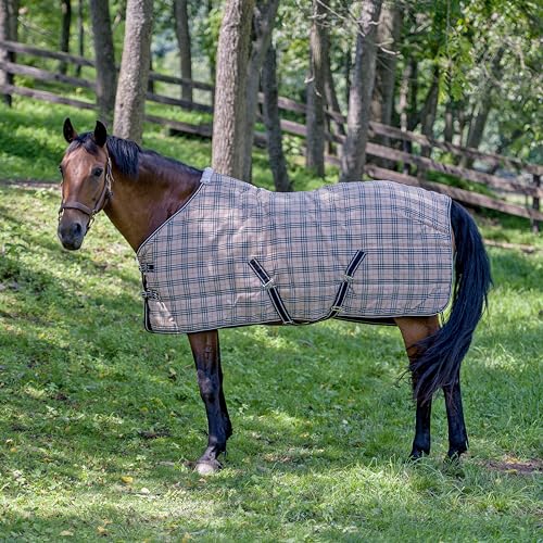 TuffRider Comfy Standard Neck Medium Weight Stable Blanket- 1200D, 200 GSM- Beige and Black Plaid- 75 - size: 75