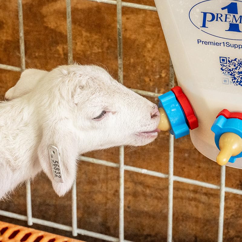 Premier 1 Supplies Shepherd's Lambing Essentials Kit