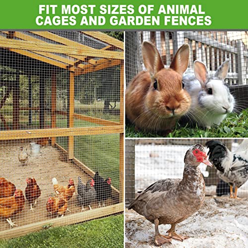 Land guard 23 Gauge Hardware Cloth, 1/4 inch 48inch×100ft Chicken Wire Fence, Galvanized Welded Cage Wire Mesh Roll Supports Poultry Netting Cage Fence…… - color: Galvanized, size: 1/4inch 48inch×100ft