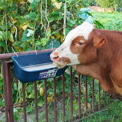 Goovilla Large Feed Trough, Hanging or Screw-in, 2 Pack 9 Quart, Blue - color: Dark Blue, size: 9 Quart
