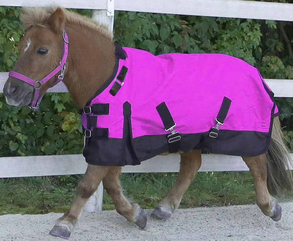 Foal/Mini 1200 Denier Adjustable Neck Waterproof Turnout Sheet - color: Navy