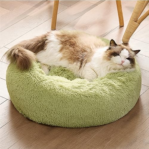 Bedsure Calming Cat Beds Donut Round Washable Kitten Bed,20 inches Green | Fluffy Faux Fur Cuddler,Anti-Slip Bottom,Anti-Anxiety,Deep Sleeping for Cats&Small Pets Up to 15 Lbs - color: Green, size: 20"L x 20"W x 6"Th