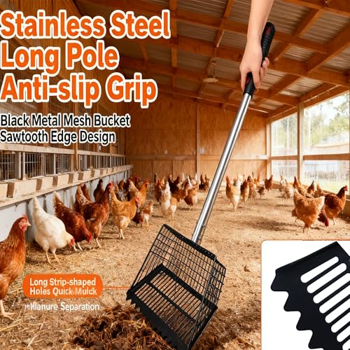 Chicken Poop Scooper & Rake 2-in-1, Adjustable 35"-65" Stainless Steel Handle, Heavy Duty Metal Black Shovel Head for Chicken Coop Cleaning, Pet Waste, Cat Litter Sifting