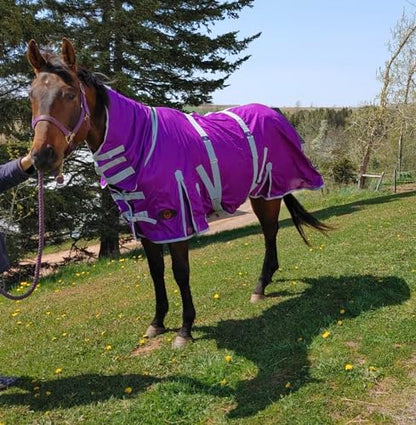 Heavy Duty Horse Fly Sheet with Neck and Detachable Belly Band | Summer Sheet (72, Purple) - color: Purple, size: 72