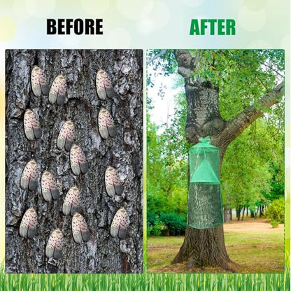 Qualirey 2 Pack Spotted Lanternfly Trap Lanternfly Killer for Tree,Green - color: Green