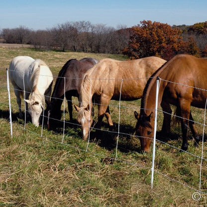 Premier 1 Horse QuikFence® Electric Fence for Horses – 48"H x 50'L