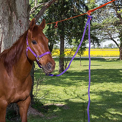 Tough 1 2 Horse Swivel Tie Picket Line Kit