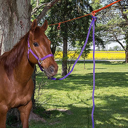 Tough 1 2 Horse Swivel Tie Picket Line Kit
